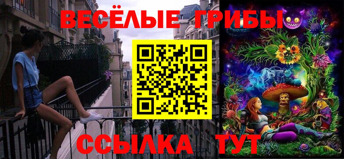 Псилоцибиновые грибы Psilocybine cubensis  цены наркотик  Вход с VPN  Тара  Псилоцибиновые грибы Psilocybine cubensis 